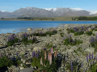 新西兰，南岛，山脉，自然，景观