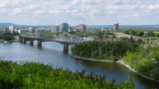 桥，城市，树木，旅行，建筑，建筑