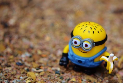 奴才，搞笑，玩具，儿童，图，黄色，人见人爱，吃