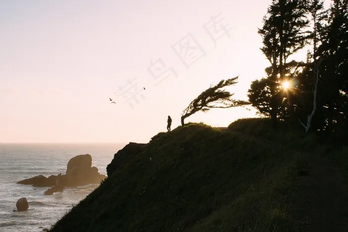 早上，海岸，海岸，海边，海洋，水，沧海，风