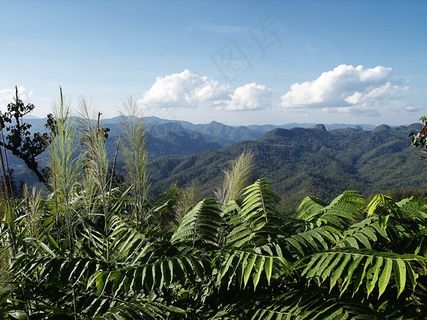 视野良好，山脉，泰国，丛林，天空，云