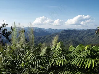 视野良好，山脉，泰国，丛林，天空，云