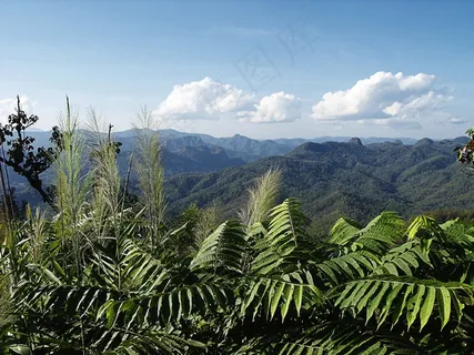 视野良好,山脉,泰国,丛林,天空,云 视野良好,山脉,泰国,丛林,天空,云