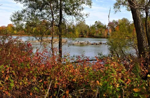 秋色，漂流湖，阳光，十月