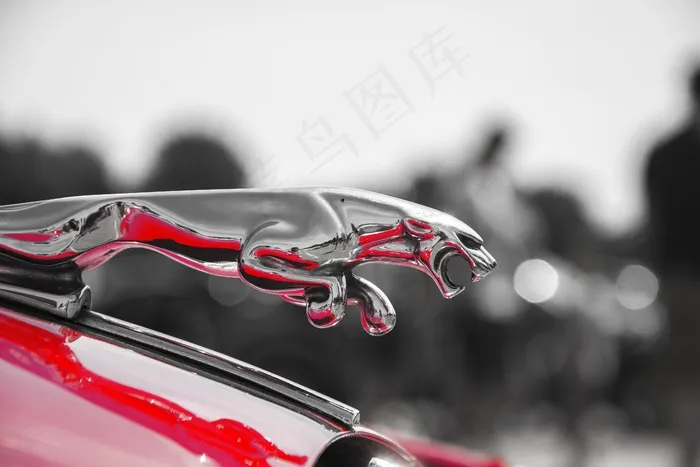 捷豹，胡德，车，钱，饰品，红色