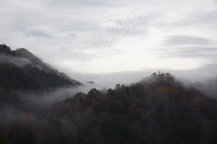 丘陵，云团，多雨，森林，林地，树木，天气