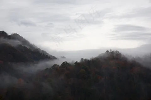 丘陵,云团,多雨,森林,林地,树木,天气 丘陵,云团,多雨,森林,林地,树木,天气