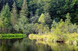 高山湖泊，喀尔巴阡山脉，夏天
