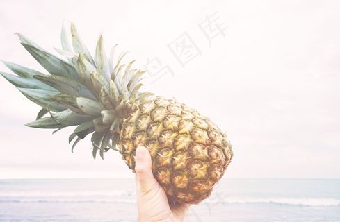 菠萝，控股，水果，新鲜，健康，食品