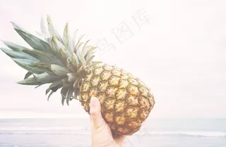 菠萝，控股，水果，新鲜，健康，食品