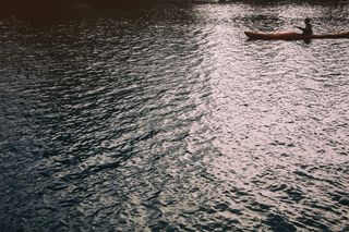 虫子,地板砖,海洋,沙发,床单,在湖上划独木舟的人