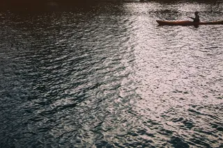 虫子,地板砖,海洋,沙发,床单,在湖上划独木舟的人