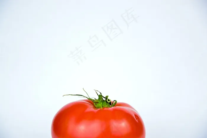 番茄，蔬菜，食品，健康，新鲜，有机，红色