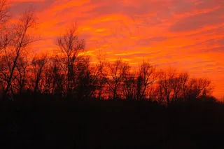 日落，夜晚，森林，黄昏，日出，景观
