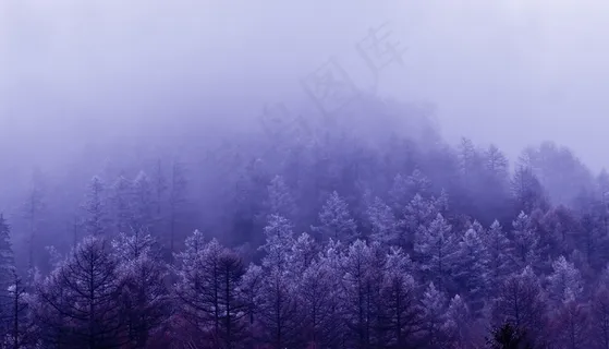 云，风景，清明，山西，雪山