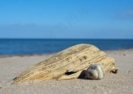 海滩，浮石和喷射，木材，银行，海岸，水