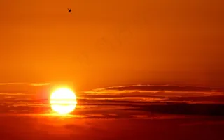 太阳，天空，鸟，云，东，红色