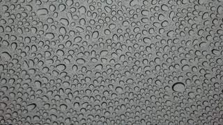 水，滴，雨，性质，泡沫，湿，水滴