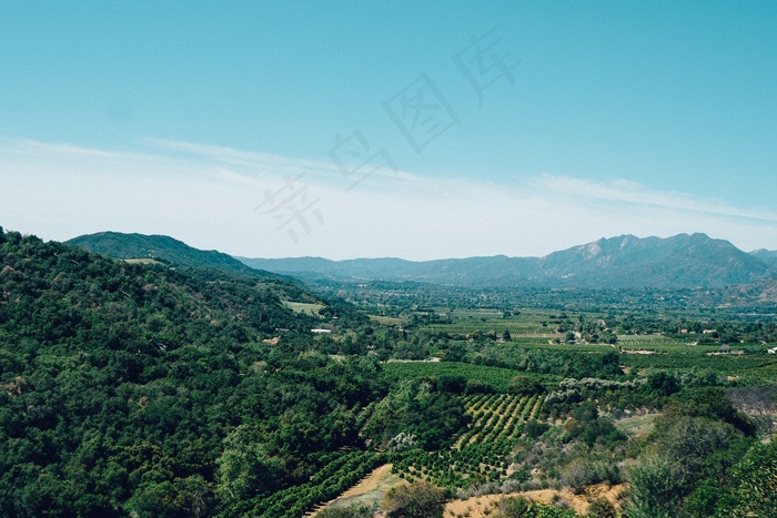 龙脊梯田,山峦,长城,生态林,树,景观葡萄园