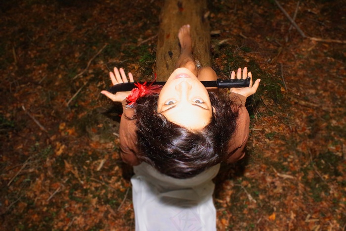 恐怖，森林，刀，恐怖，自然，聚焦