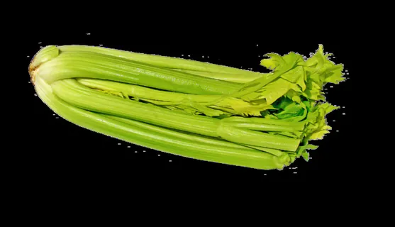 芹菜,蔬菜,蔬菜,绿色 芹菜,蔬菜,蔬菜,绿色