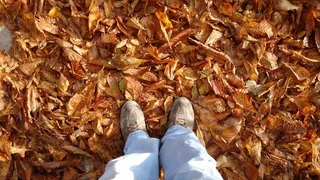 废铜,蘑菇,油画,工艺品,玉米,奥托诺