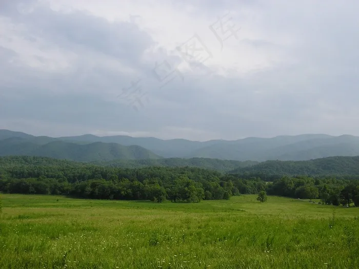山，田纳西州，场，雾，树木，草地
