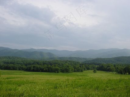 山，田纳西州，场，雾，树木，草地