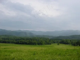 山，田纳西州，场，雾，树木，草地