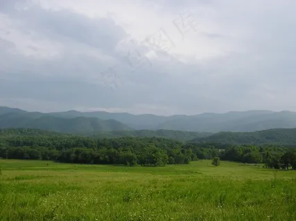 山,田纳西州,场,雾,树木,草地 山,田纳西州,场,雾,树木,草地