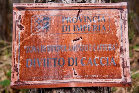 禁止狩猎，生物恢复，自然保护区