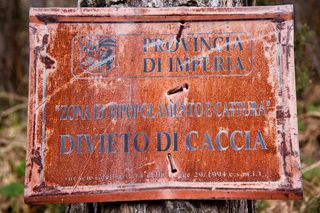 禁止狩猎，生物恢复，自然保护区