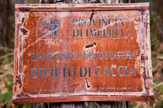 禁止狩猎，生物恢复，自然保护区