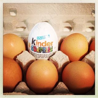 鸡蛋,蛋类,鸡蛋壳,脐橙,柚子,金德