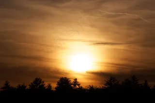 天空,霞光,街灯,灯,树,日落云太阳暮光之城