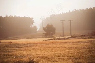 日出，太阳，大气日出，橙色