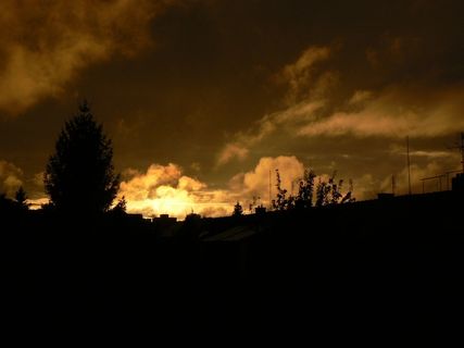 西，太阳，孤独，天空，云，云，树