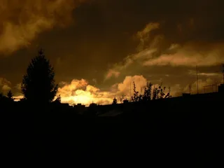 西，太阳，孤独，天空，云，云，树