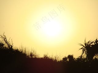 太阳，日落，黄色，火球，金色，阳光