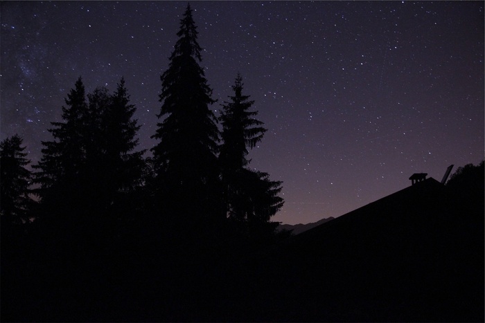 紫色，天空，星星，黑暗，夜，树木，剪影