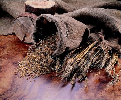 Boutique Mai Bud，木头，意境