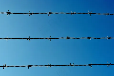 铁丝网,边界,障碍,分界 铁丝网,边界,障碍,分界