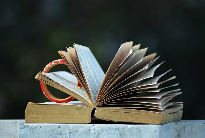 打开书本，阅读，文学