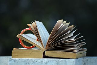 打开书本，阅读，文学