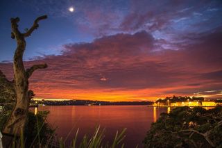 海，海洋，日落，港口，悉尼，日出