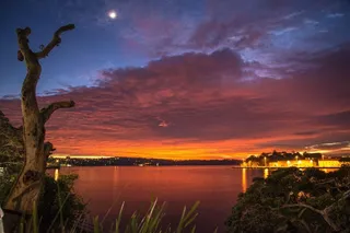 海，海洋，日落，港口，悉尼，日出