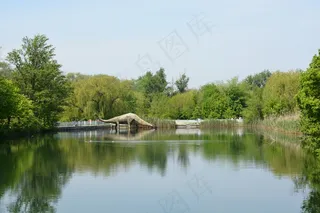 俄罗斯，动物园，恐龙，自然，景观，湖泊，树木