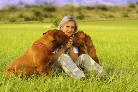 狗,女孩,德,Dogue,年轻,波尔多,ast,法语 狗,女孩,德,Dogue,年轻,波尔多,ast,法语