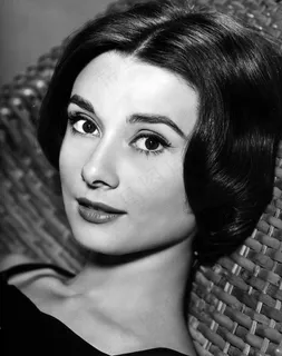 奥黛丽·赫本(Audrey Hepburn),女演员,蒂芙尼早餐 奥黛丽·赫本(Audrey Hepburn),女演员,蒂芙尼早餐