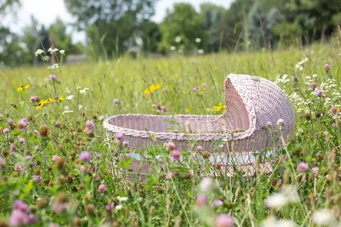 婴儿Bassinet，Bassinet，粉红色，野花，婴儿，儿童